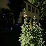 Blickinsfreie Apartamento