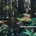 Appartamento Blickinsfreie Schöneck