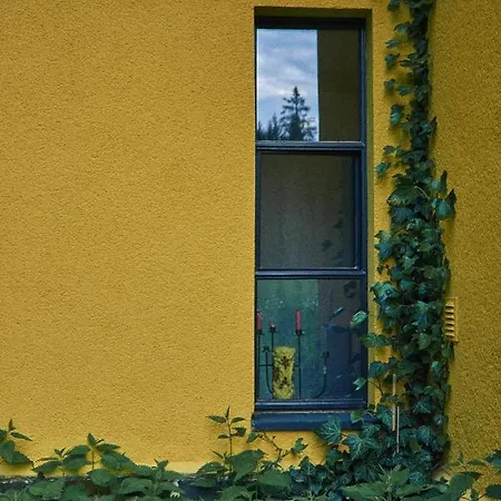 Blickinsfreie *