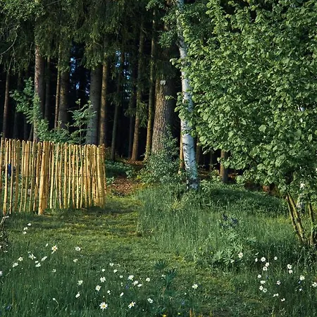 Lejlighed Blickinsfreie Schöneck