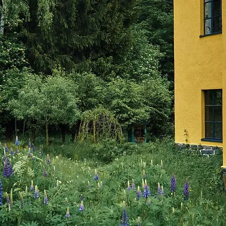 Blickinsfreie Apartment Schoeneck (Saxony)