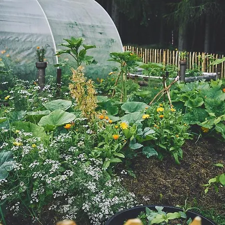 Blickinsfreie Appartamento *