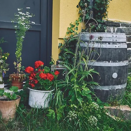 Apartamento Blickinsfreie Schöneck