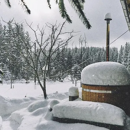 Blickinsfreie Appartamento Schöneck