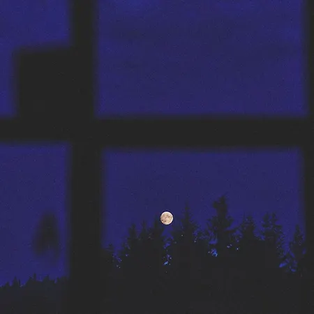 Blickinsfreie *