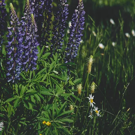 Appartamento Blickinsfreie