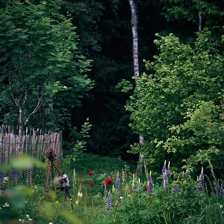 Blickinsfreie * Schöneck