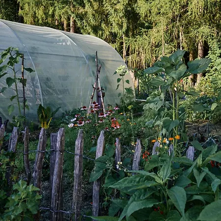 Blickinsfreie * Schöneck