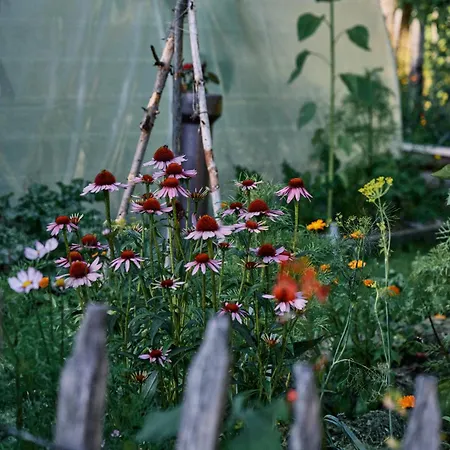 Appartamento Blickinsfreie *