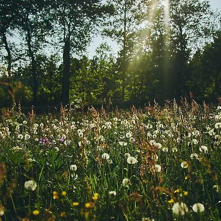 Blickinsfreie Schöneck