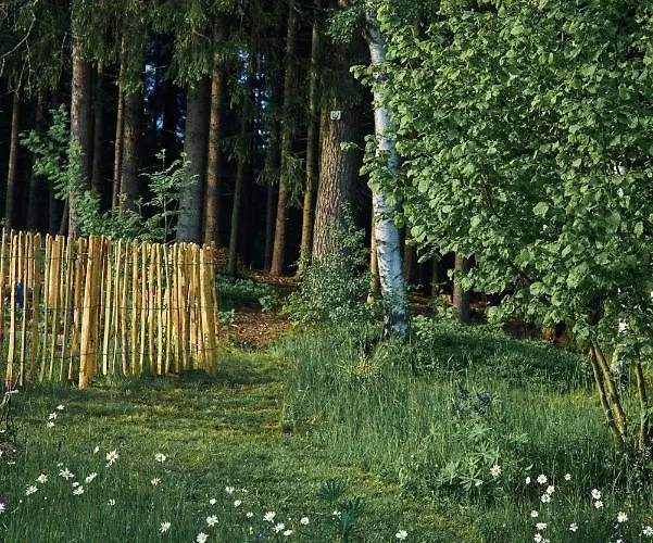 Apartment Blickinsfreie Schoeneck (Saxony)