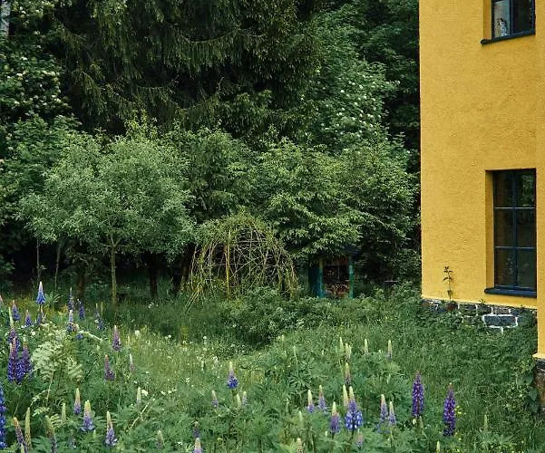 Blickinsfreie Apartment Schoeneck (Saxony)