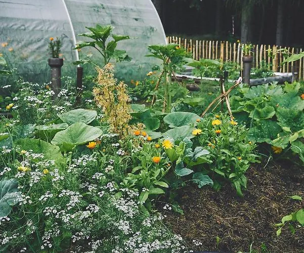 Blickinsfreie Apartment *