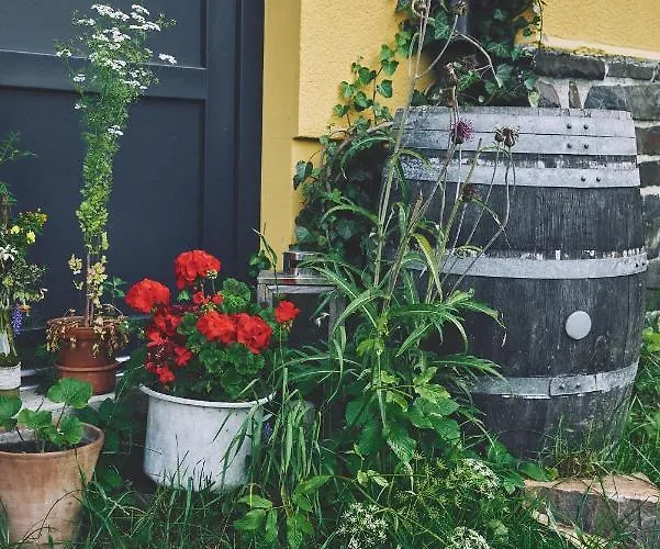 Apartment Blickinsfreie Schoeneck (Saxony)