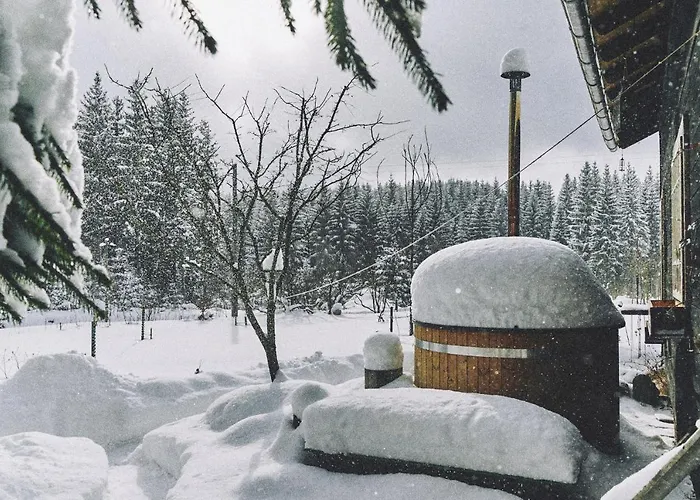 Blickinsfreie Apartment Schoeneck (Saxony)