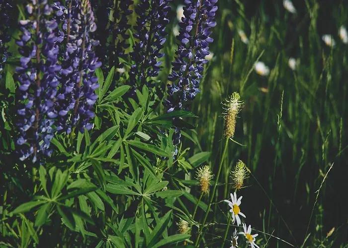 Apartment Blickinsfreie