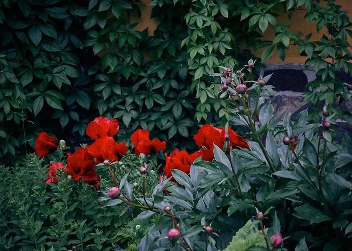 Apartment Blickinsfreie Schoeneck (Saxony)