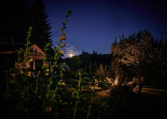 Apartment Blickinsfreie Schoeneck (Saxony)