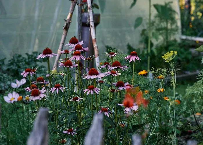 Apartment Blickinsfreie *