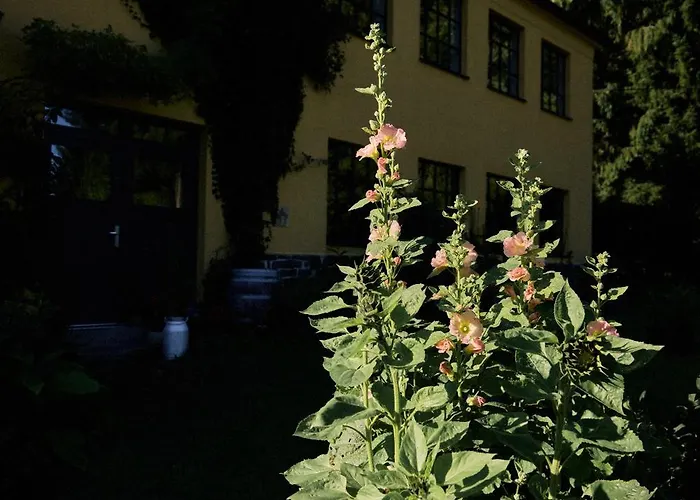 Blickinsfreie Apartment