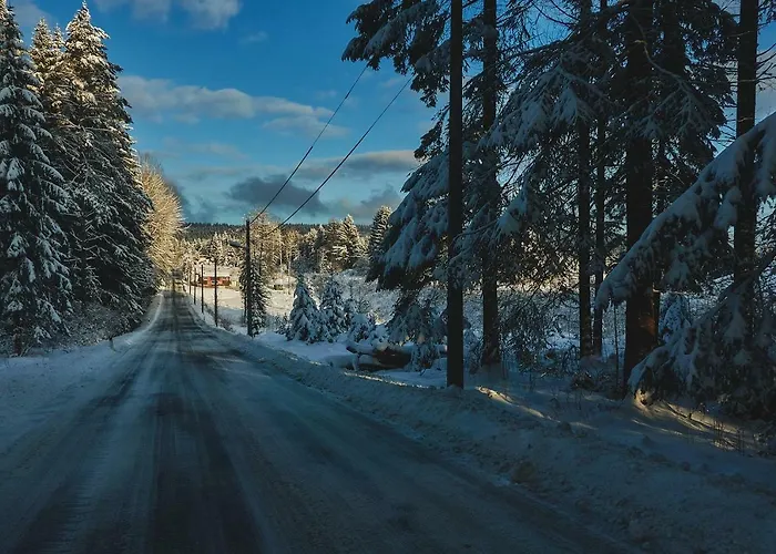 Blickinsfreie Schoeneck (Saxony)