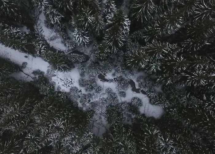 Blickinsfreie Apartment *