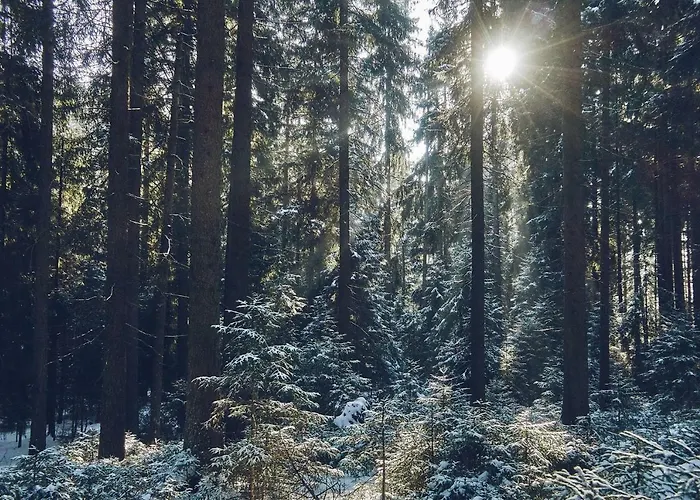 Blickinsfreie Apartment