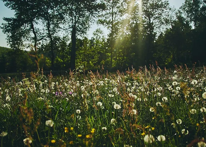 Blickinsfreie Schoeneck (Saxony)