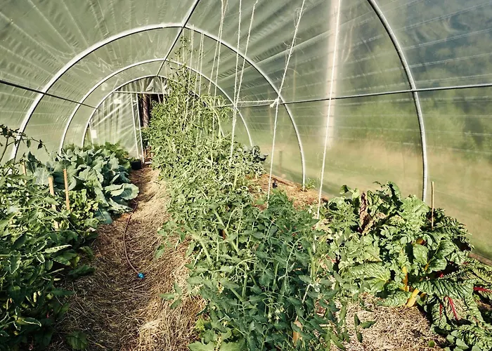 Apartment Blickinsfreie